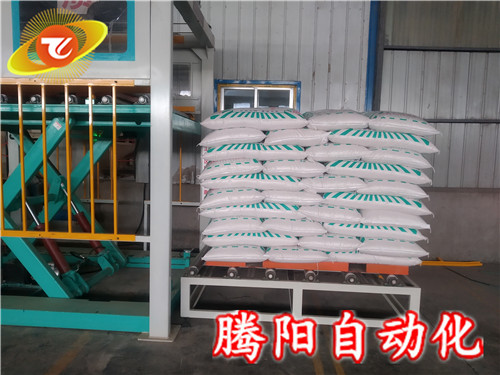 全自動(dòng)碼垛機(jī)為企業(yè)解決自動(dòng)化生產(chǎn)難題