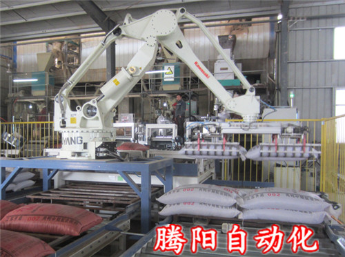 自動(dòng)化碼垛機(jī)器人未來(lái)態(tài)勢(shì)可期