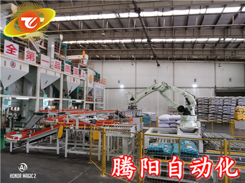 六軸機(jī)器人碼垛機(jī)的性能特點(diǎn)