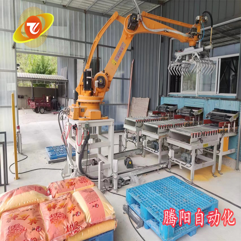 騰陽(yáng)一機(jī)雙抓，雙工位碼垛機(jī)